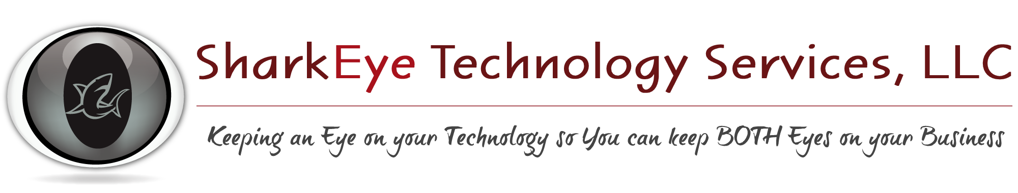 SharkEye Technology Services, LLC | 